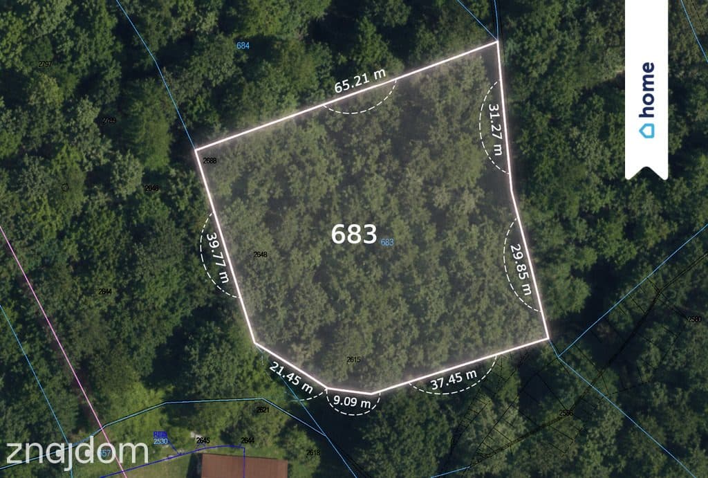Działka 4300 m² w Babicy | Blisko Rzeszowa - zdjęcie 8