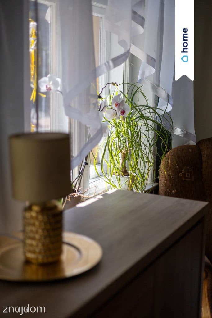 3 pokoje 72,2m² z werandą nad samą rzeką! Okazja - zdjęcie 2