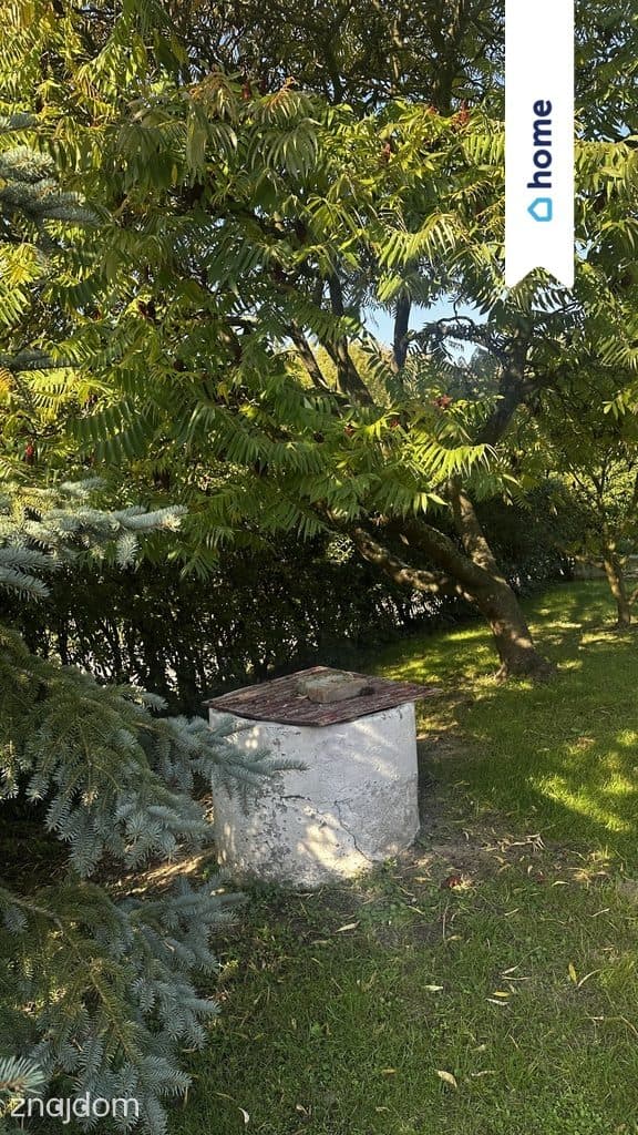 Urokliwe siedlisko na zagospodarowanej działce! - zdjęcie 12