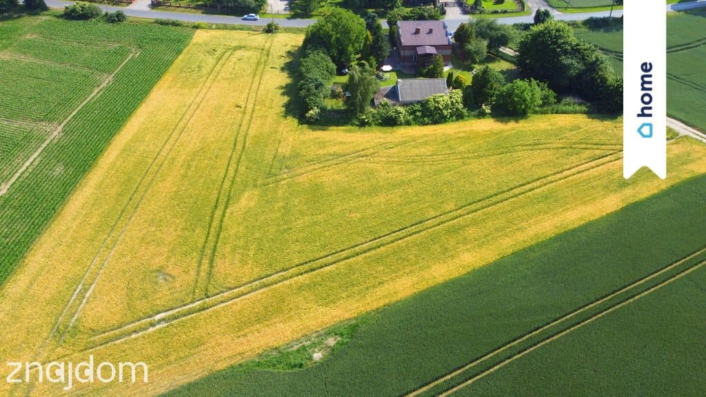 Łowinek | Dom 188 m² | 7 pokoi | 2500 m² | Garaże - zdjęcie 3