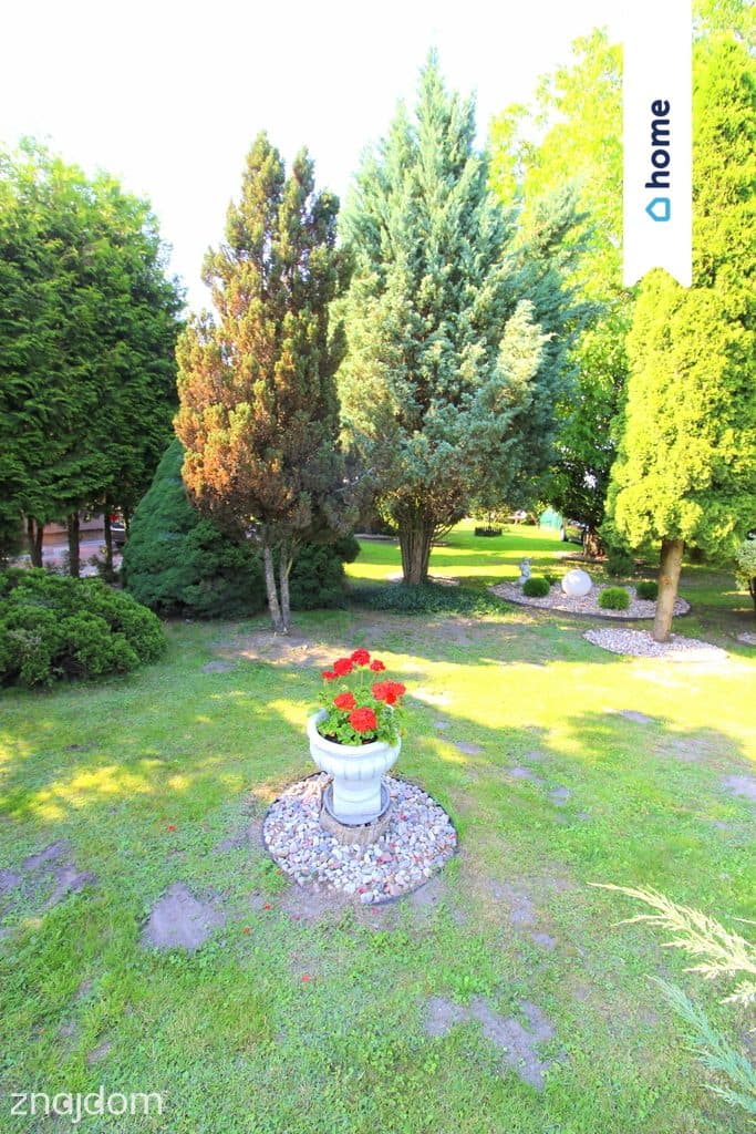 Łowinek | Dom 188 m² | 7 pokoi | 2500 m² | Garaże - zdjęcie 8