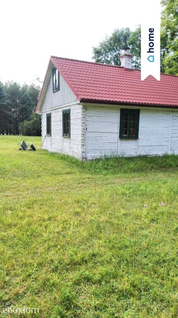 Siedlisko w Mariance gm. Stary Brus - zdjęcie 4