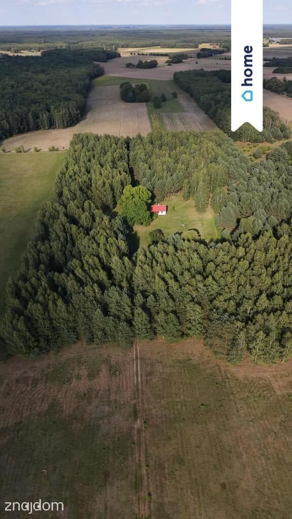 Siedlisko w Mariance gm. Stary Brus - zdjęcie 7
