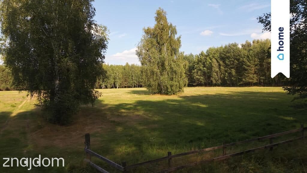 Siedlisko w Mariance gm. Stary Brus - zdjęcie 9