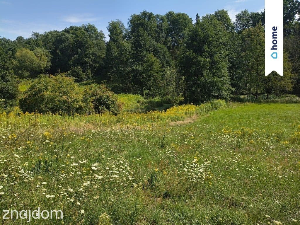 Na sprzedaż 2 działki rolne - 3,9 ha | Kamienica - zdjęcie 3