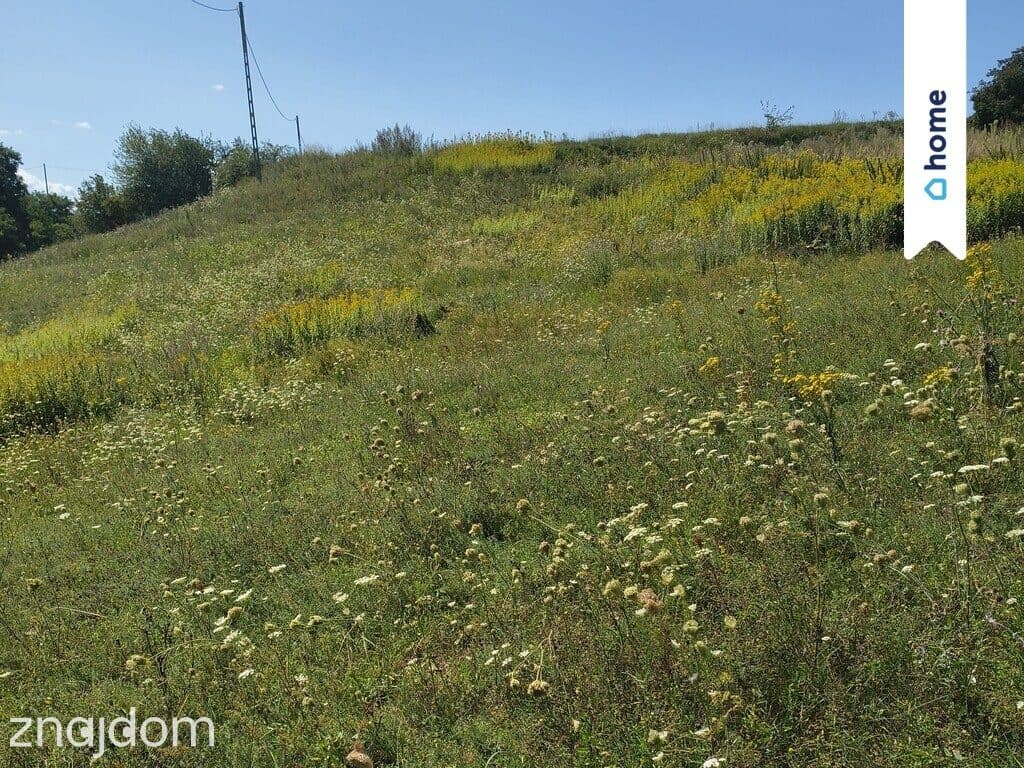 Na sprzedaż 2 działki rolne - 3,9 ha | Kamienica - zdjęcie 7