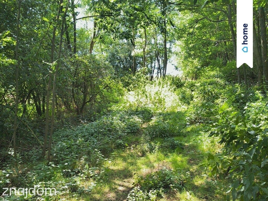 Na sprzedaż 2 działki rolne - 3,9 ha | Kamienica - zdjęcie 8