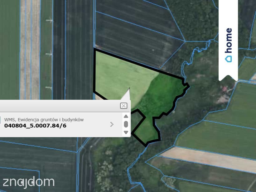 Na sprzedaż 2 działki rolne - 3,9 ha | Kamienica - zdjęcie 9