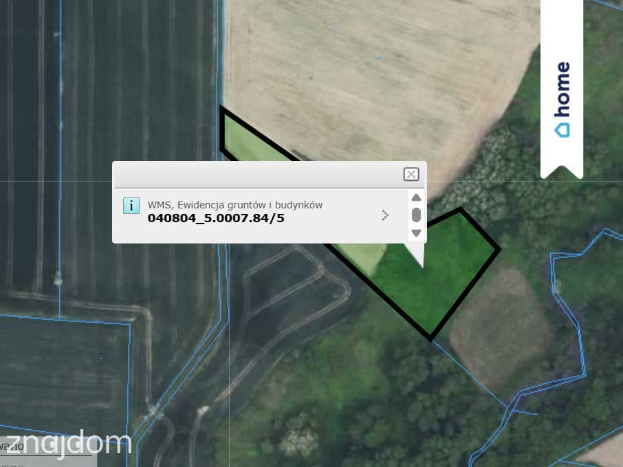 Na sprzedaż 2 działki rolne - 3,9 ha | Kamienica - zdjęcie 10
