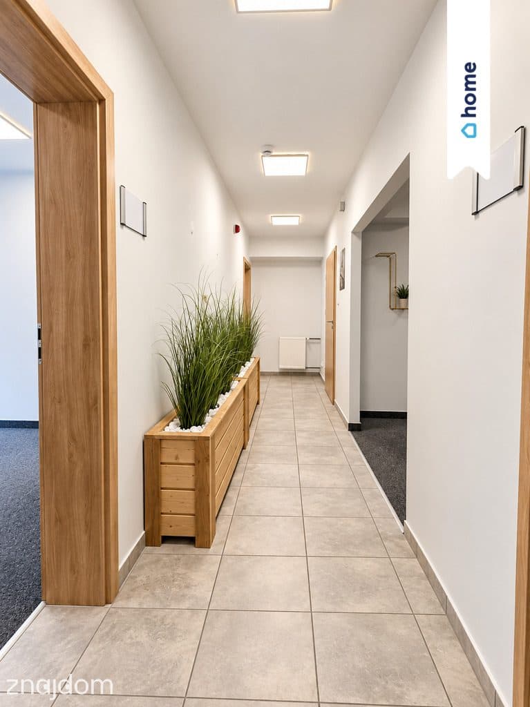Lokal biurowy 70 m² | 3 gabinety | Osobne wejście - zdjęcie 5