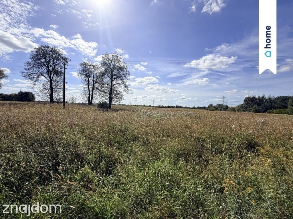 Działka rolna 4,33 ha – Marianów, gm. Chynów
