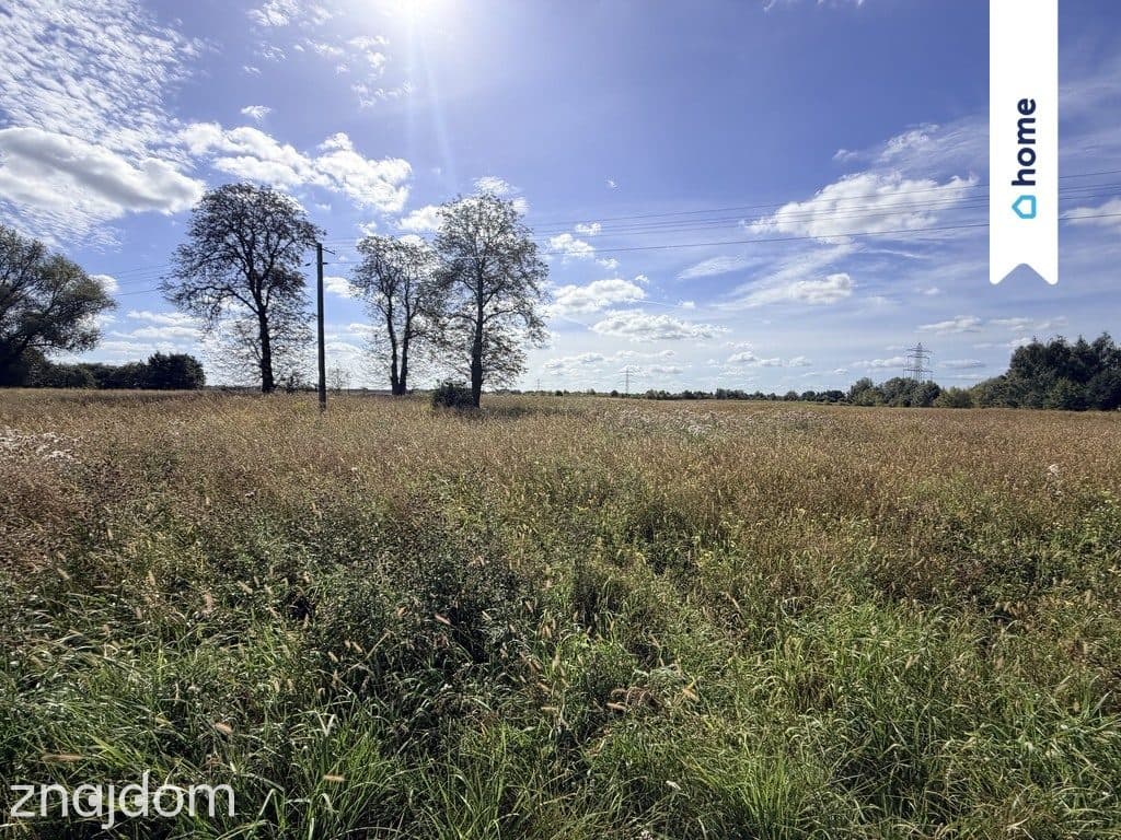 Działka rolna 4,33 ha – Marianów, gm. Chynów - zdjęcie 2