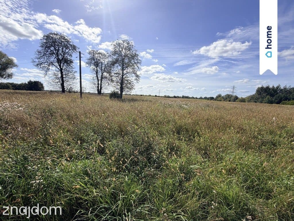Działka rolna 4,33 ha – Marianów, gm. Chynów - zdjęcie 3