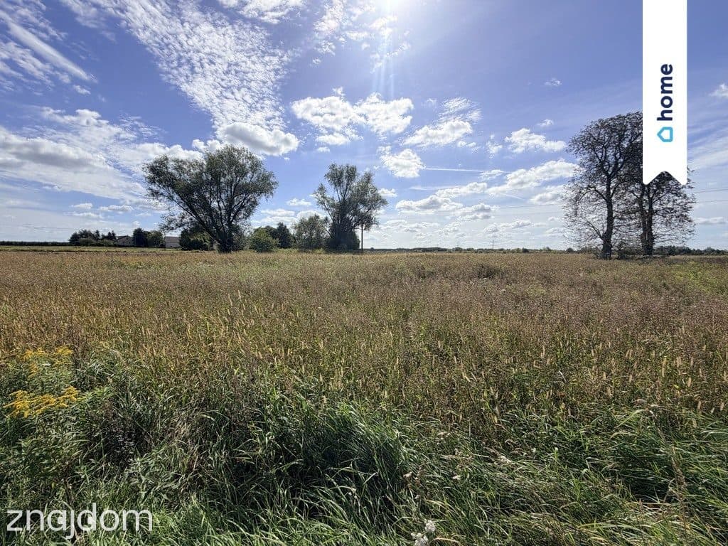Działka rolna 4,33 ha – Marianów, gm. Chynów - zdjęcie 4