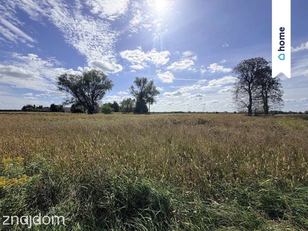 Działka rolna 4,33 ha – Marianów, gm. Chynów - zdjęcie 5