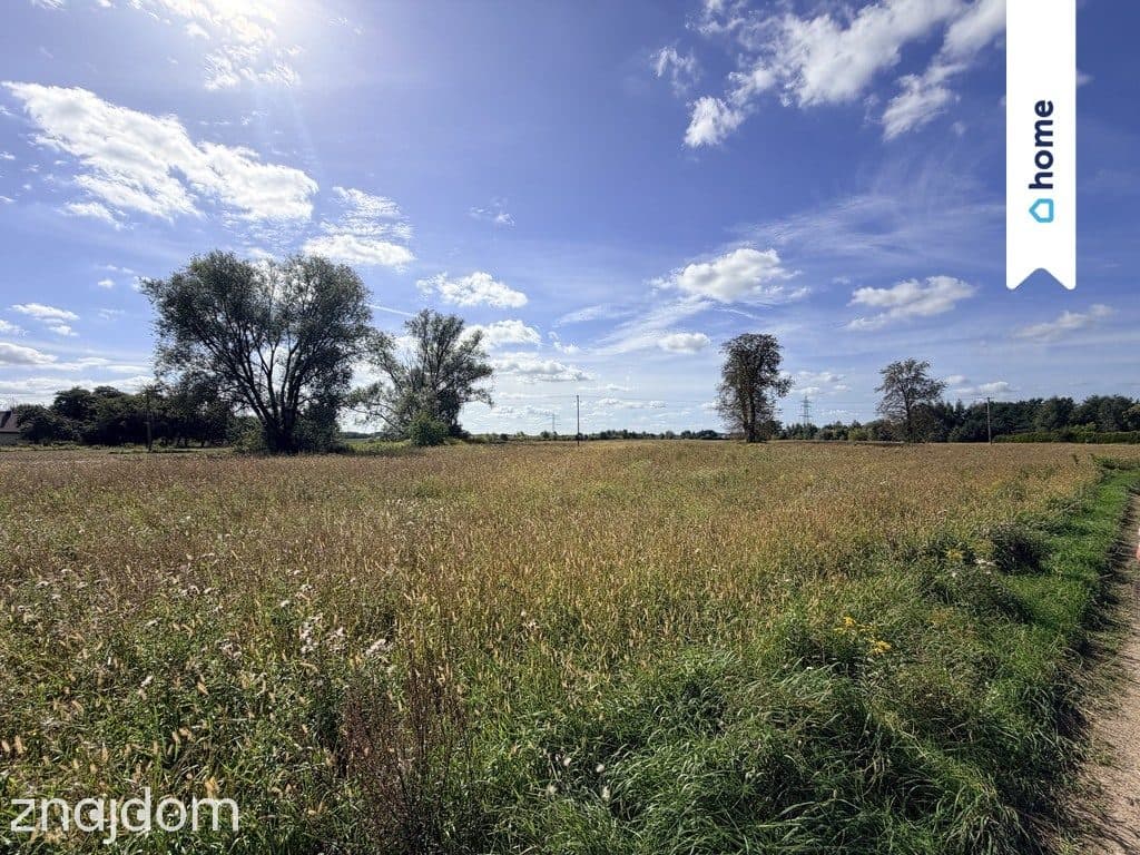 Działka rolna 4,33 ha – Marianów, gm. Chynów - zdjęcie 6