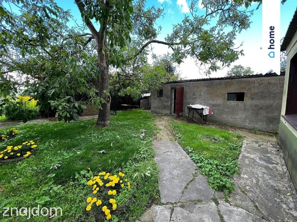 Dom do remontu | działka ponad 1,5 ha | Wapno - zdjęcie 9