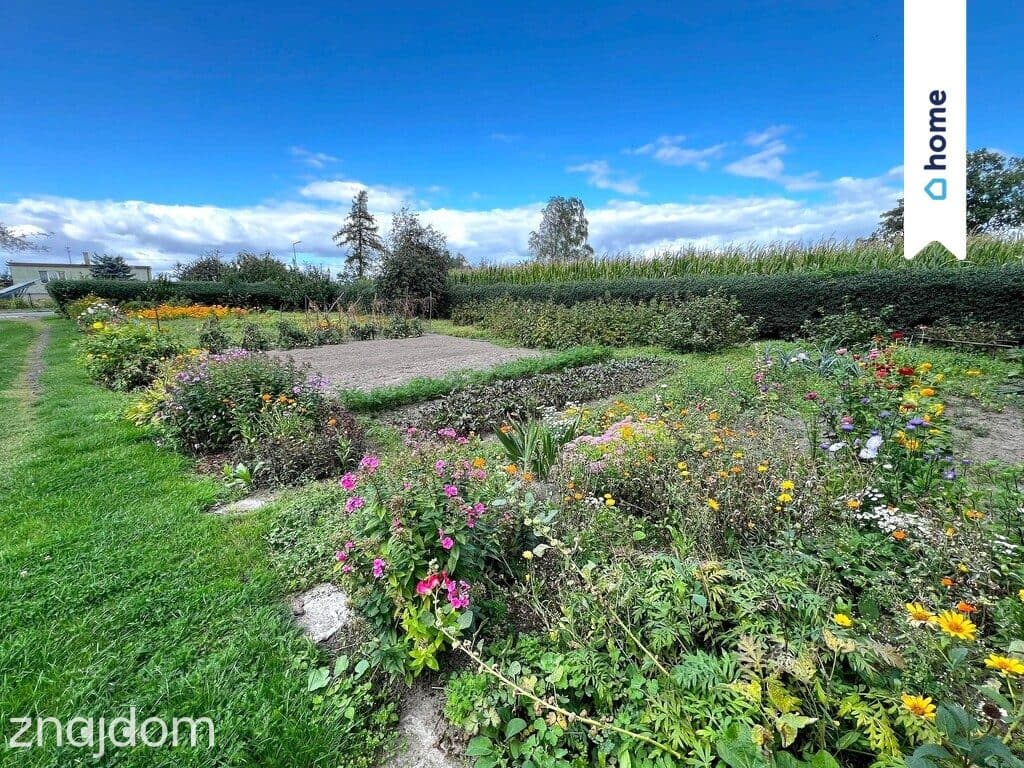 Dom do remontu | działka ponad 1,5 ha | Wapno - zdjęcie 11