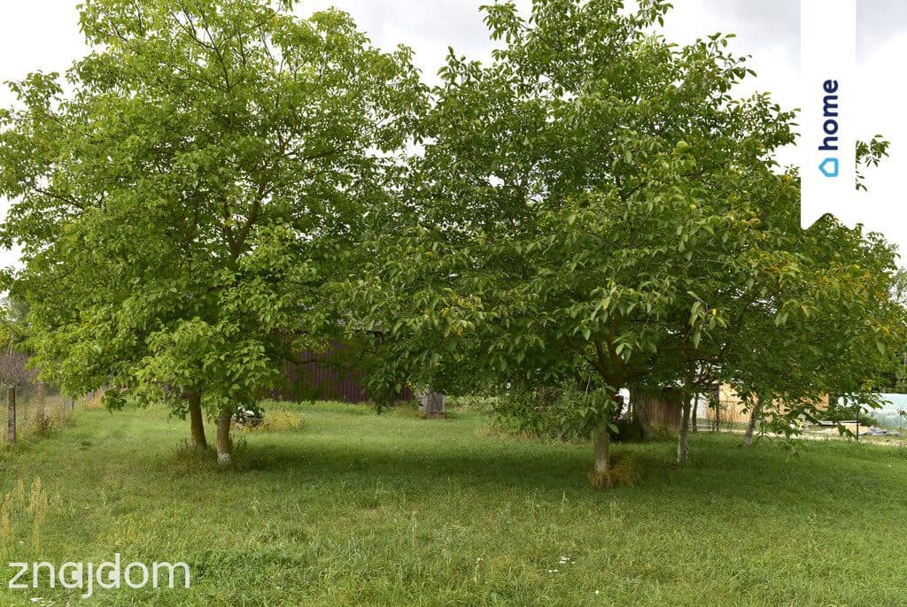 Basonia Józefów n.Wisłą działka 41 A zabudowana - zdjęcie 11