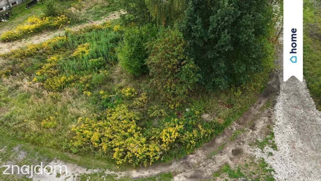 Działka 704 m², wygodny dojazd od ul. Krasickiego - zdjęcie 7
