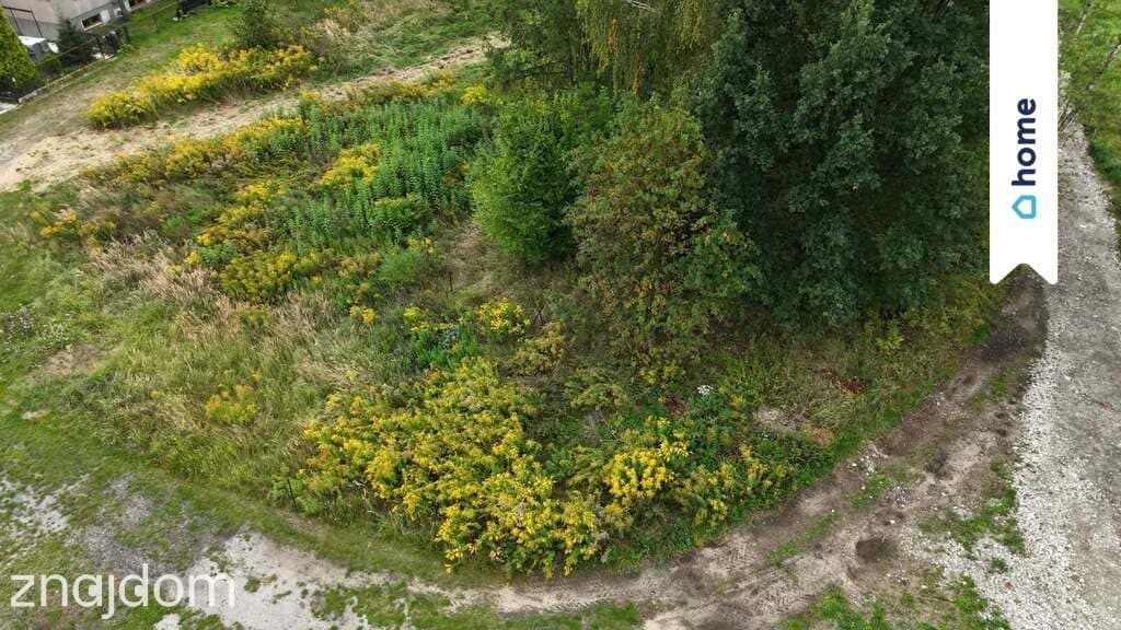 Działka 704 m², wygodny dojazd od ul. Krasickiego - zdjęcie 8