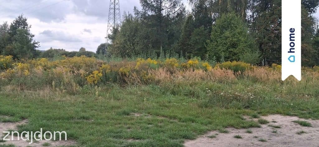 Działka 704 m², wygodny dojazd od ul. Krasickiego - zdjęcie 10