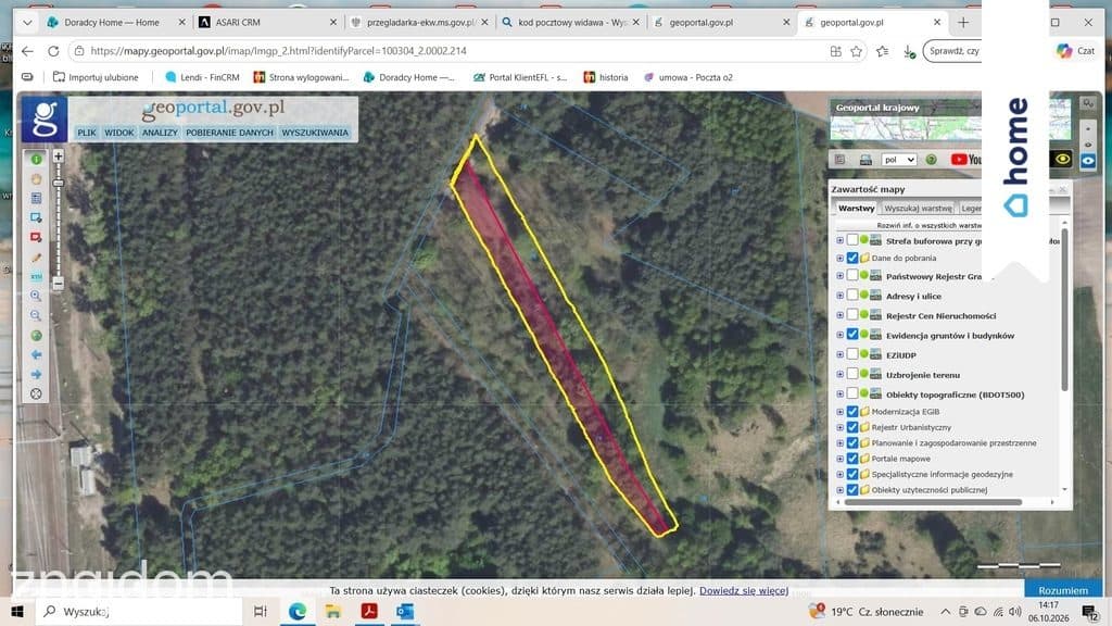 Działka leśna 2000 m², dwie działki na jednej księ