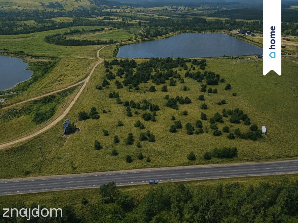 Działka pod magazyn/usługi/produkcja 3,5 ha - zdjęcie 4