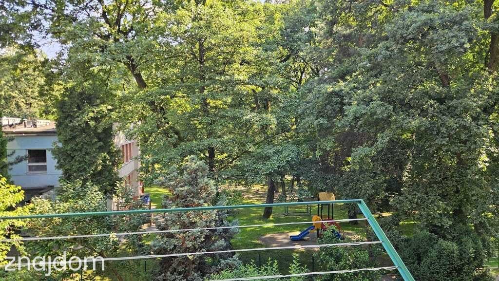 2 pokoje | Oddzielna kuchnia | Blisko tramwaju | - zdjęcie 8