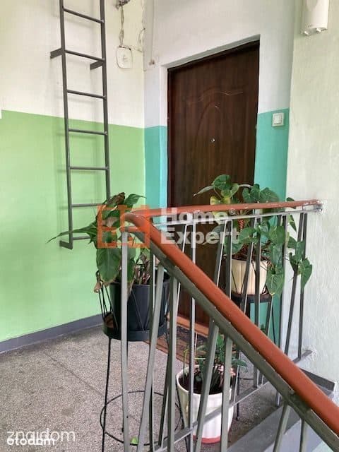 okolice Aquaparku - zdjęcie 18