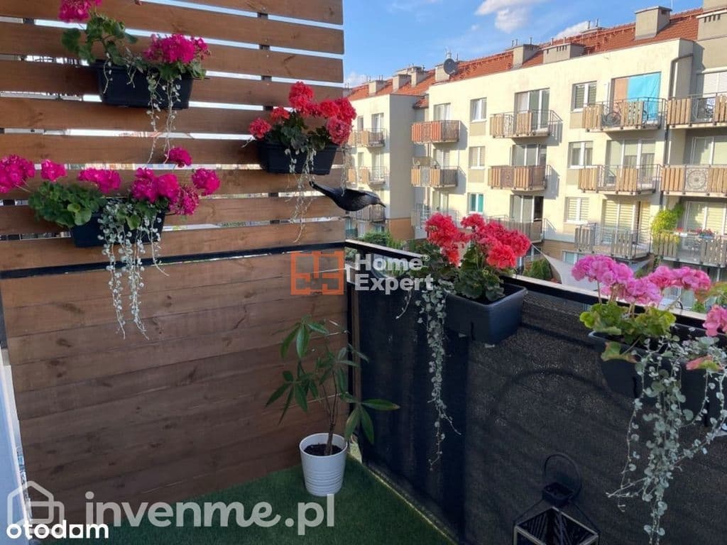 Do zamieszkania 3 pokoje - zdjęcie 5
