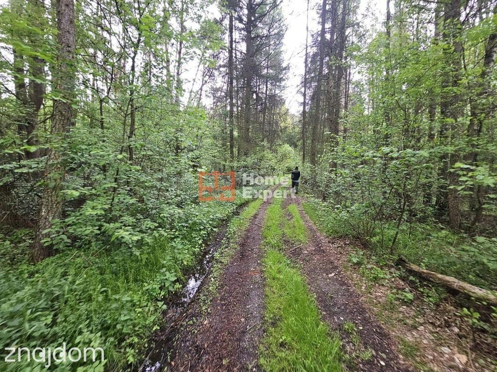 Działka+woda źródlana inwestuję 0,5 h od Wrocławia - zdjęcie 15