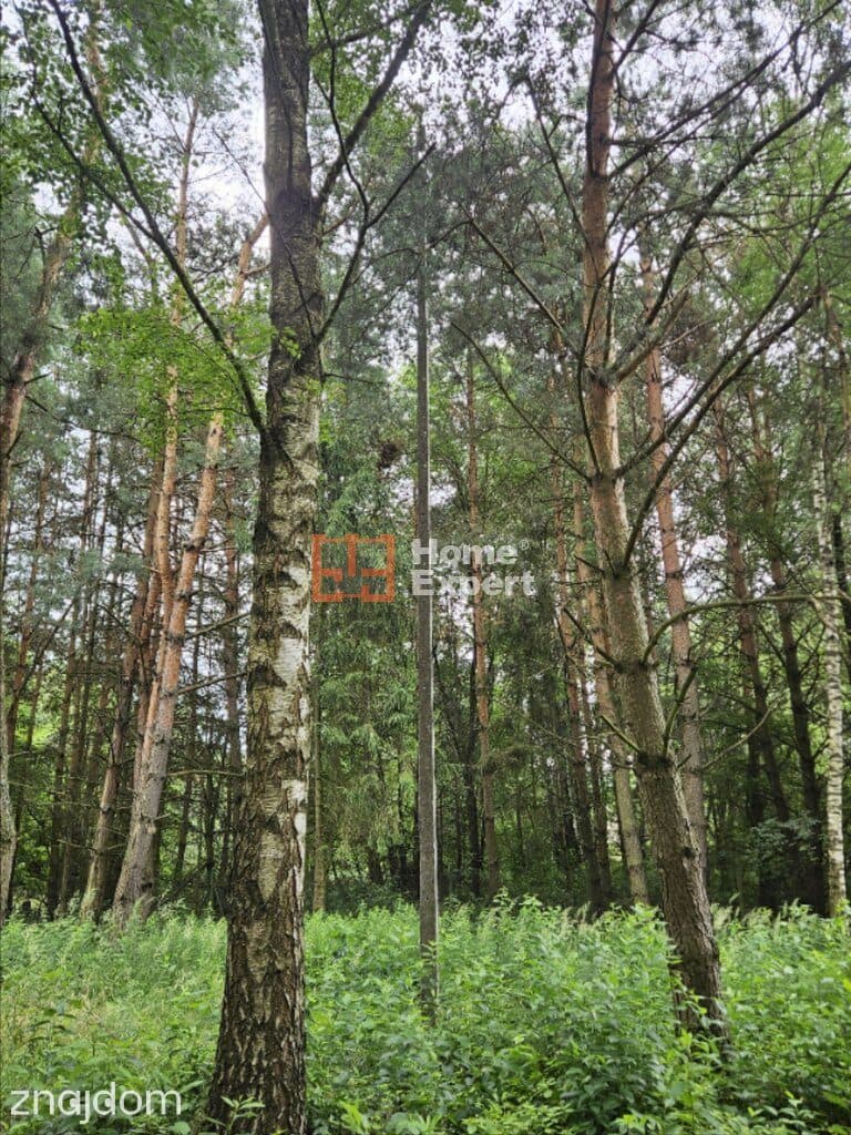 Działka budowlana + górka+ staw ok. Twardogóra - zdjęcie 11