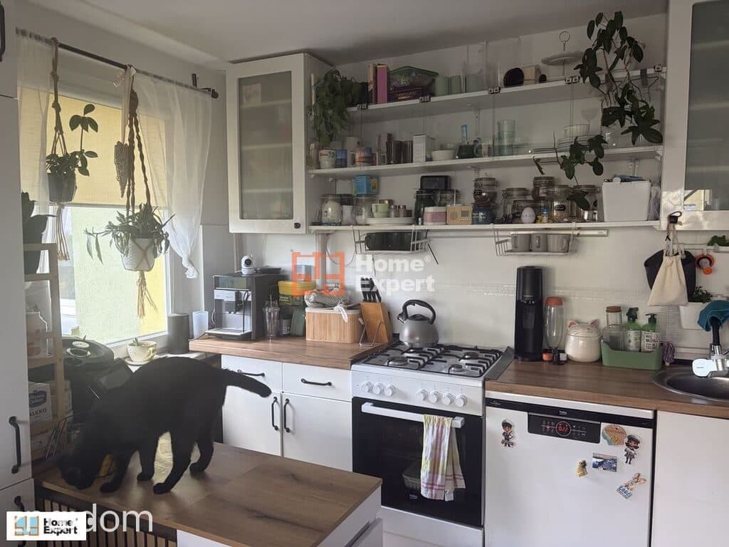 okolice ul. Zemskiej   WINDA/BALKON - zdjęcie 4