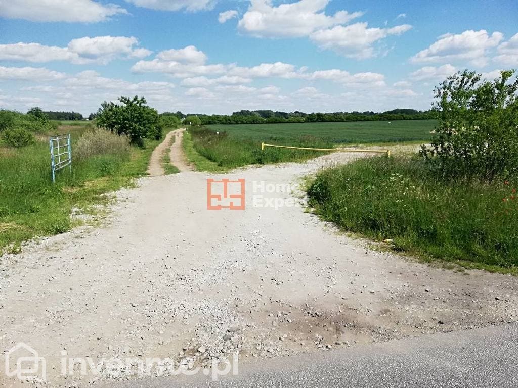 Szewce Działka 6 600 m2 /Inwestycja - zdjęcie 2