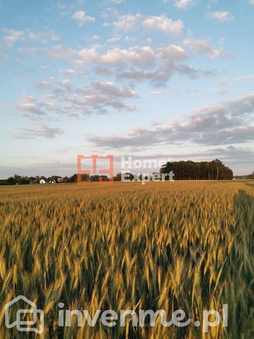 Działka Pod U/P nie uciążliwą w Budziwojowicach - zdjęcie 2