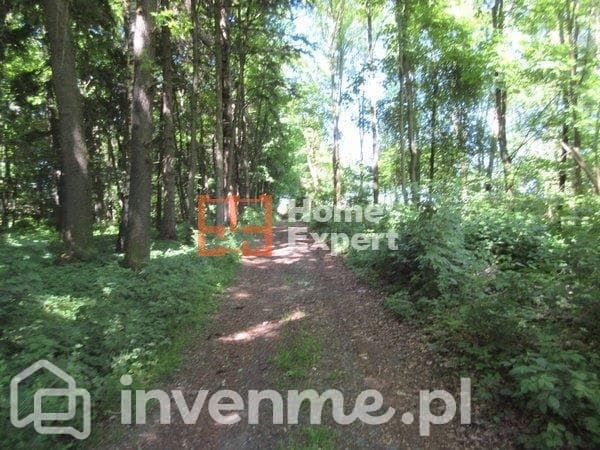 Działka z zabudowaniami Ubocze - zdjęcie 15