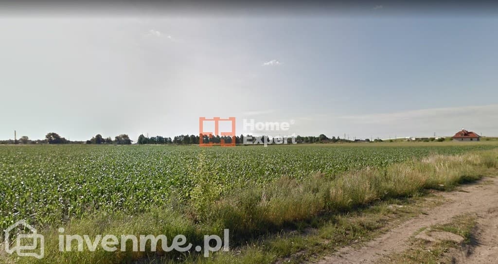 Działka Iwiny pod bliźniaki 3ha - zdjęcie 2