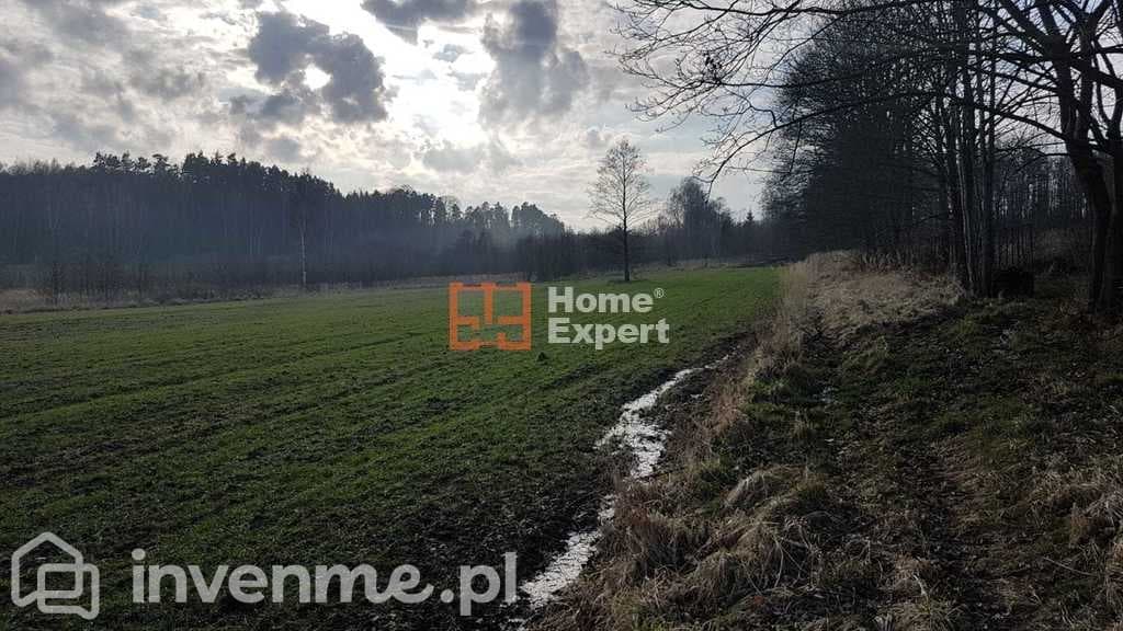 Działka położona w świetnej lokalizacji z lasem - zdjęcie 2