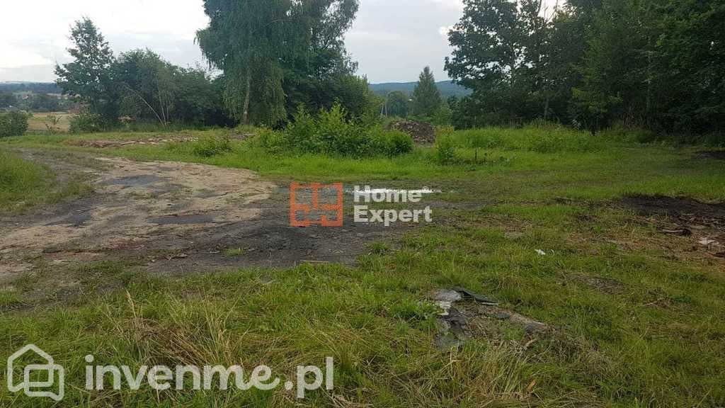 Działka z starą cegielnią ponad 3ha! - zdjęcie 2