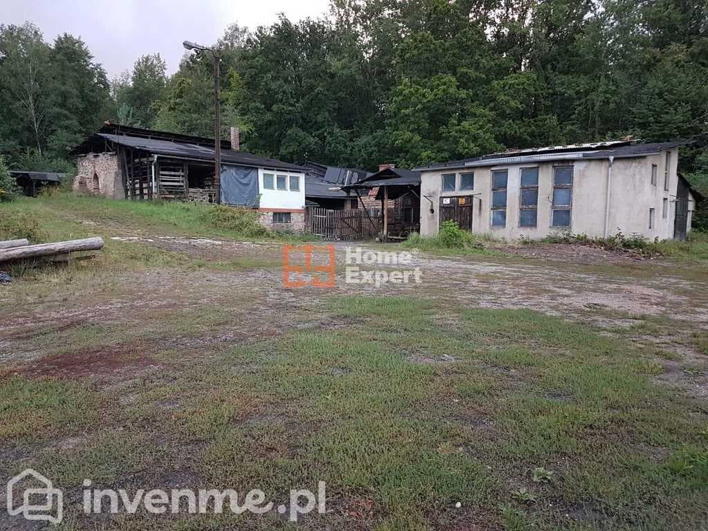 Działka z starą cegielnią ponad 3ha! - zdjęcie 8