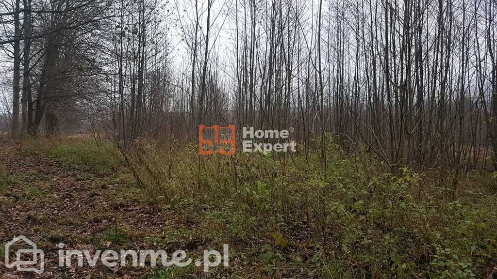 Działka z starą cegielnią ponad 3ha! - zdjęcie 16