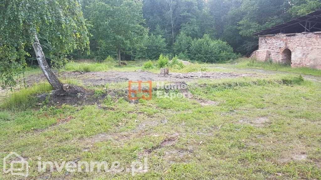 Działka z starą cegielnią ponad 3ha! - zdjęcie 17
