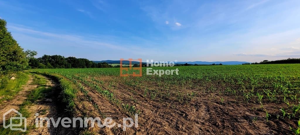 Działki Słupice nr 188/1000m2