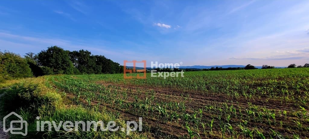 Działki Słupice nr 188/1000m2 - zdjęcie 2