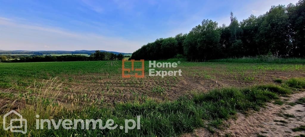 Działki Słupice nr 231/1000m2