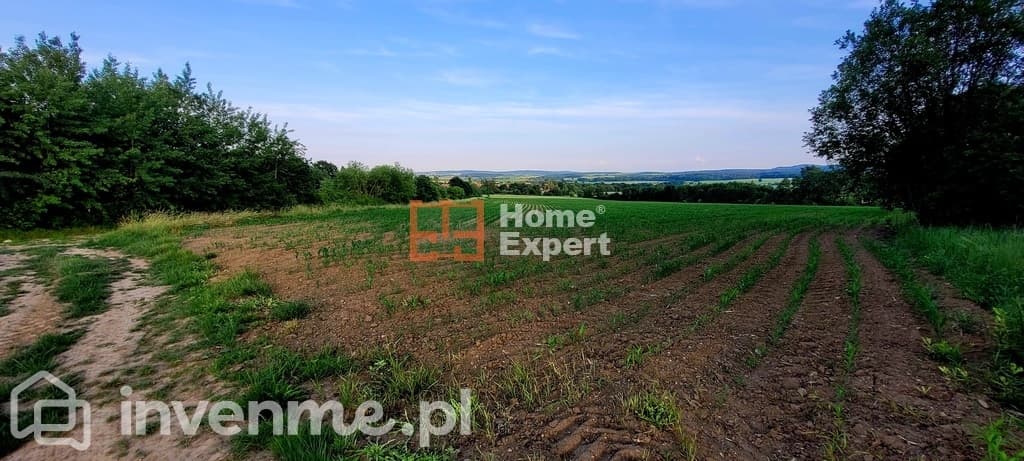 Działki Słupice nr 231/1000m2 - zdjęcie 2