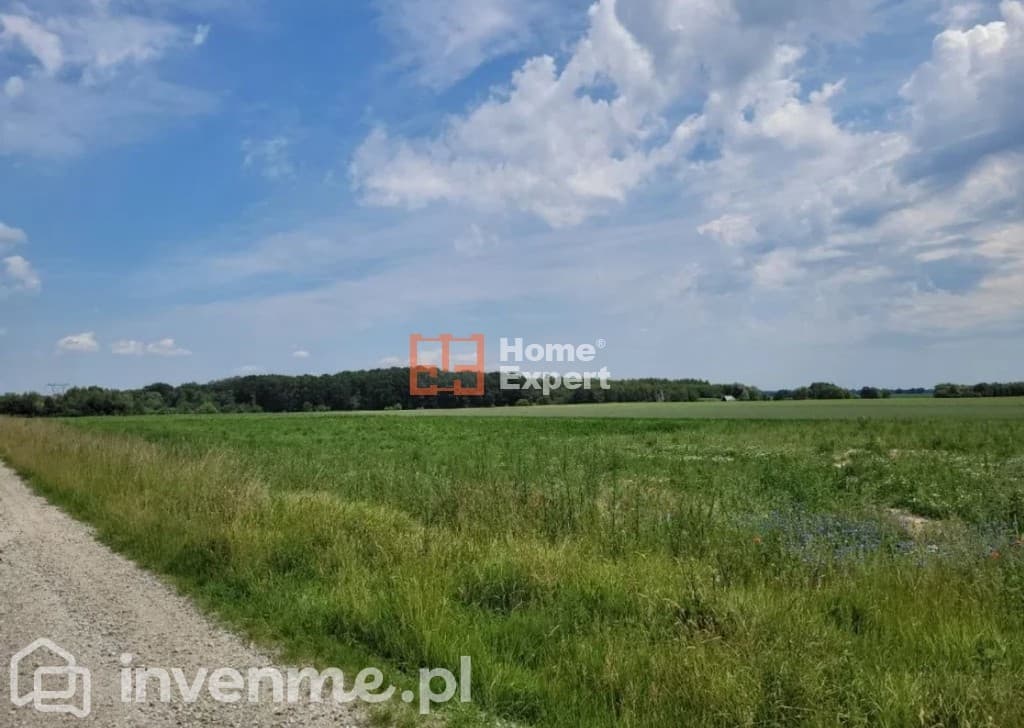 DO SPRZEDAŻY działka w otoczeniu lasów 2 164m2 - zdjęcie 3