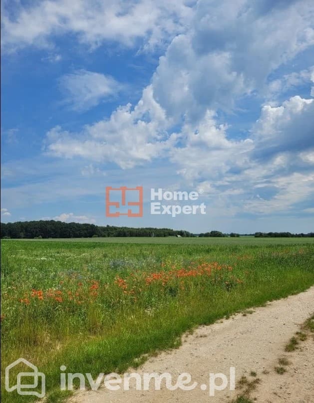 DO SPRZEDAŻY działka w otoczeniu lasów 2 164m2 - zdjęcie 4