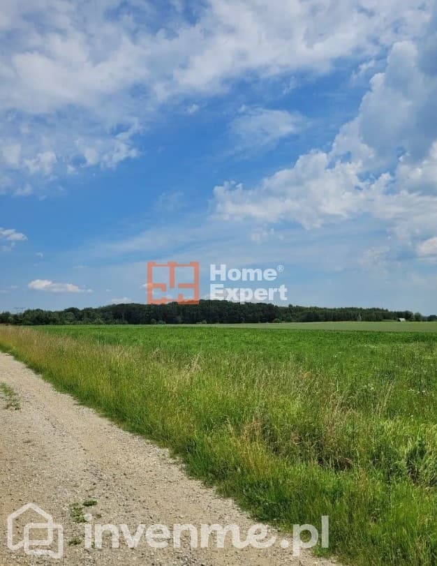 DO SPRZEDAŻY działka w otoczeniu lasów 2 164m2 - zdjęcie 6